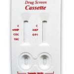 TEST KIT, ICASSETTE 10PANEL (25/BX)                   INSTCH