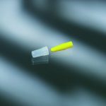 PLUG/CAP, CATHETER STR (250/CS)                       BARD