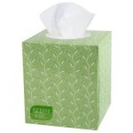 TISSUE, FACIAL BOUTIQUE BOX (110/BX 36BX/CS) KIMCON