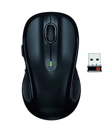 mouse